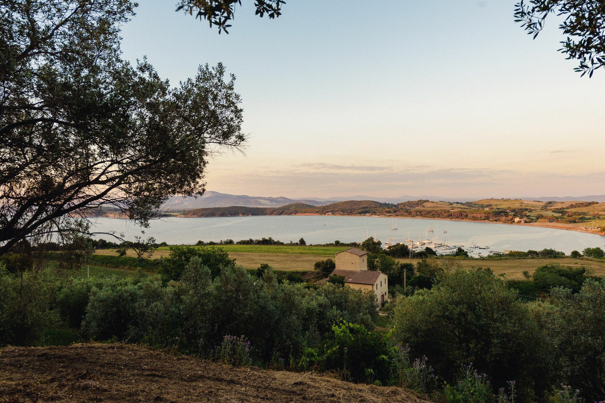 Torre Di Baratti Bio Resort Populonia Exterior photo