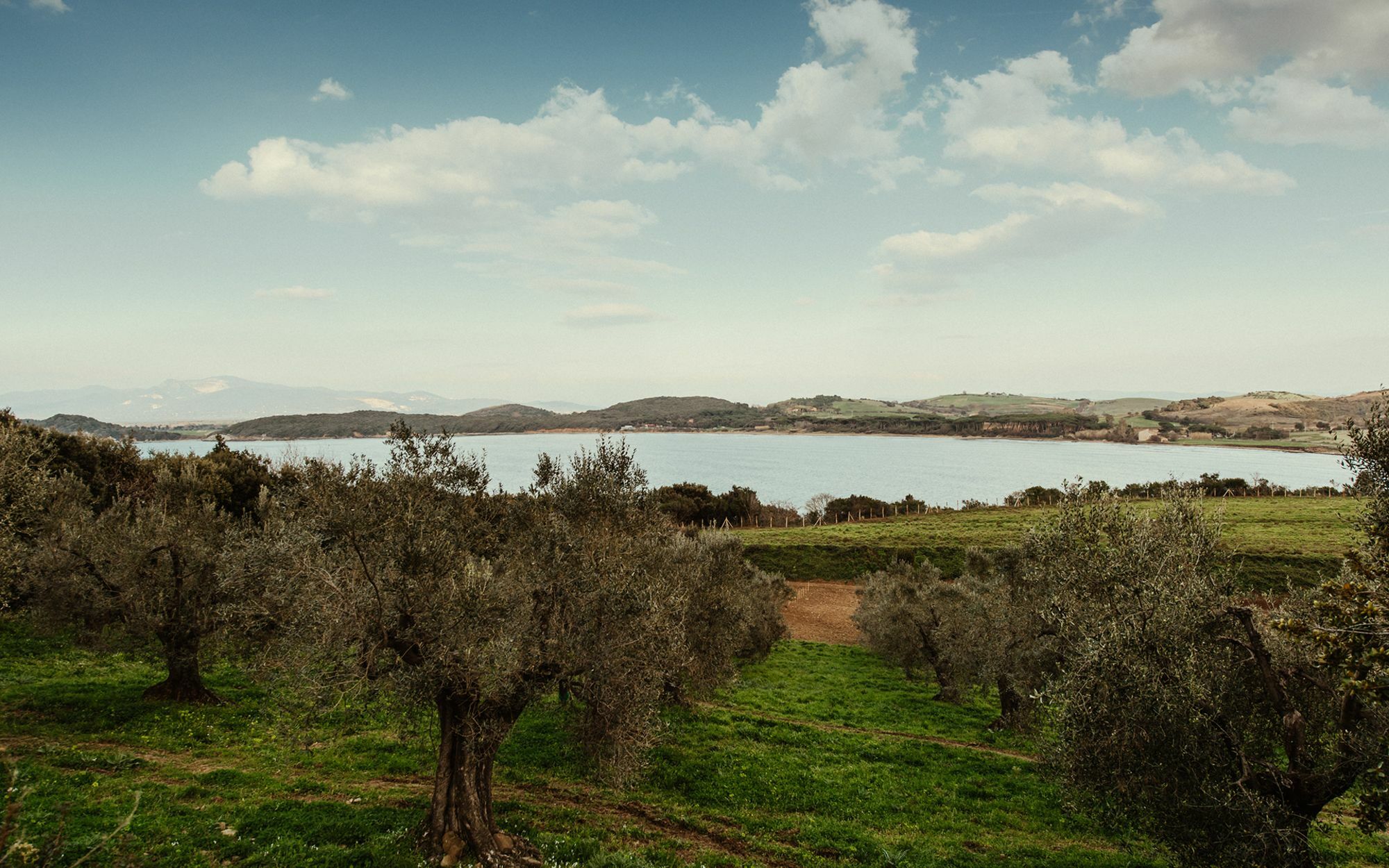 Torre Di Baratti Bio Resort Populonia Exterior photo